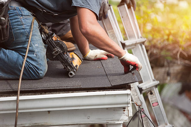 Best Metal Roofing Contractor  in Mount Vernon, WA