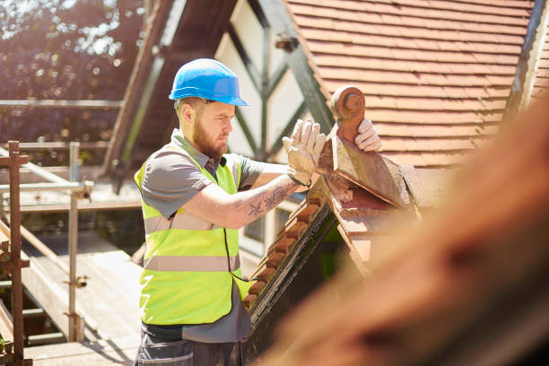 Best Roof Repair Services  in Mount Vernon, WA